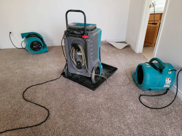Best Flood damage cleanup  in Black Jack, MO