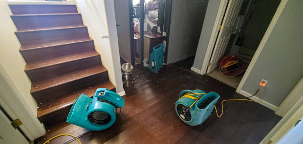 Best Fire Damage Restoration  in Black Jack, MO