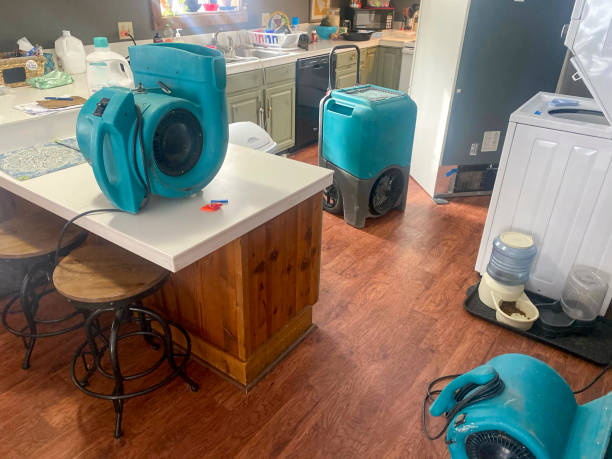 Best 24/7 water damage repair  in Black Jack, MO